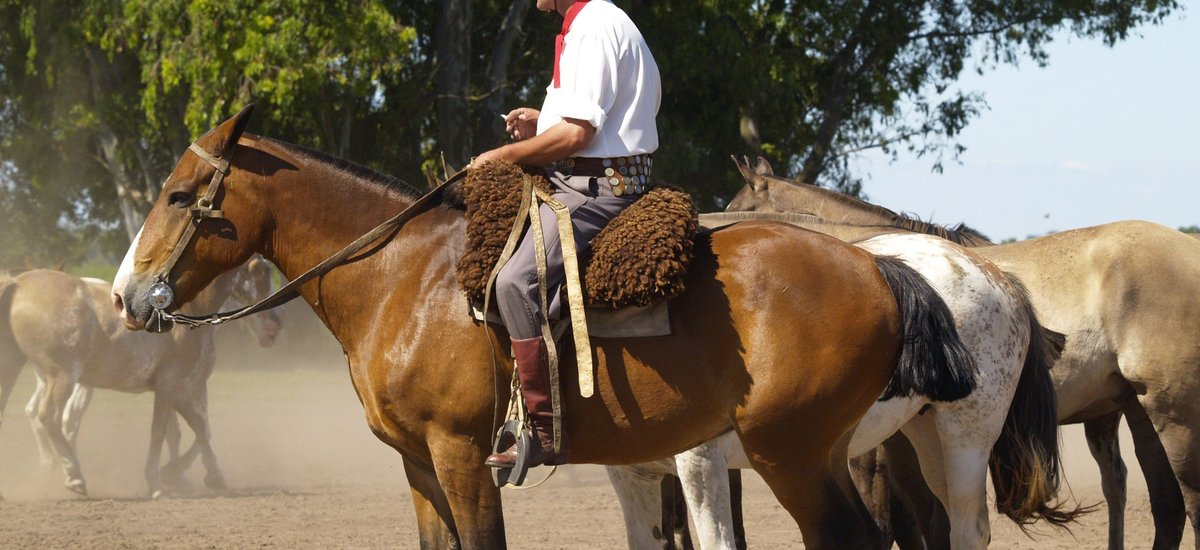 Gauchos sur un cheval, Argentine